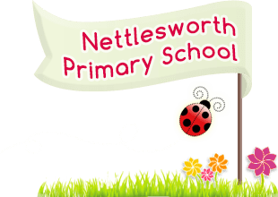 Nettlesworth Primary School